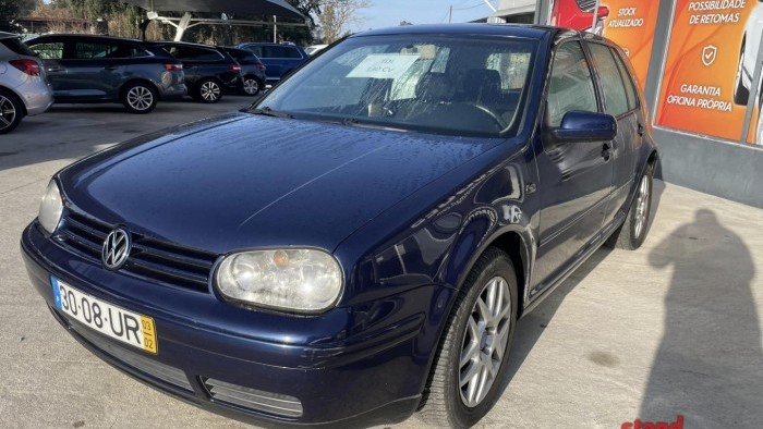 Volkswagen Golf 1.9 TDI 130 Cv
